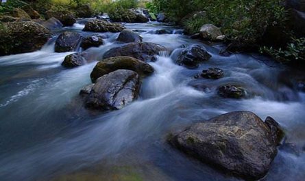 dreaming of flowing water