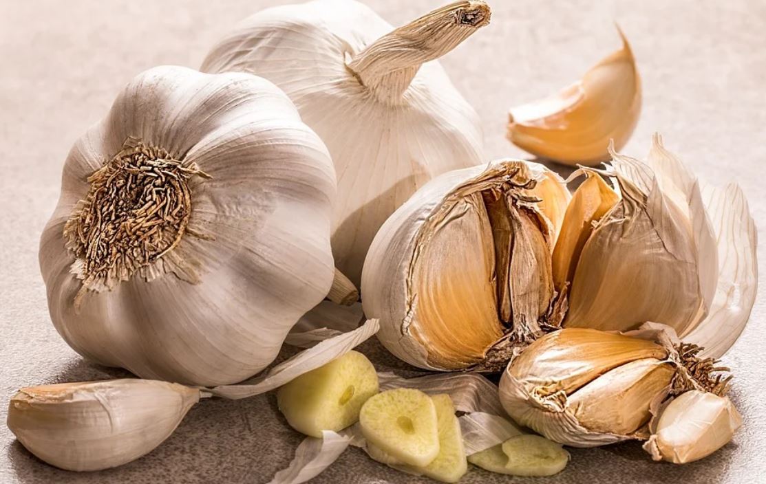 dreaming about garlic