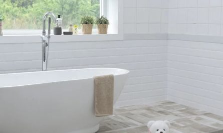 dreaming of a bathtub