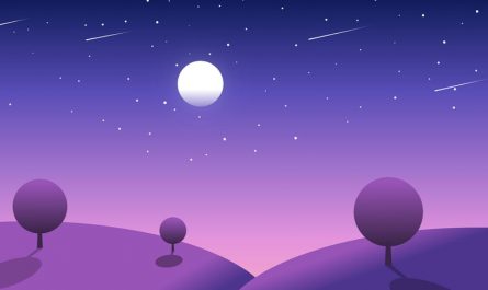 dreaming of shooting stars