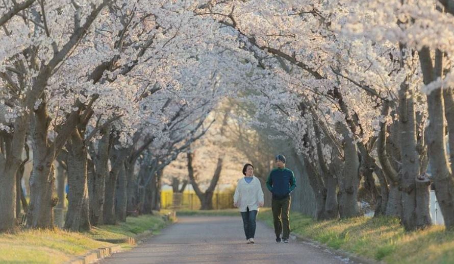 11 symbolic meanings of dreaming of walking