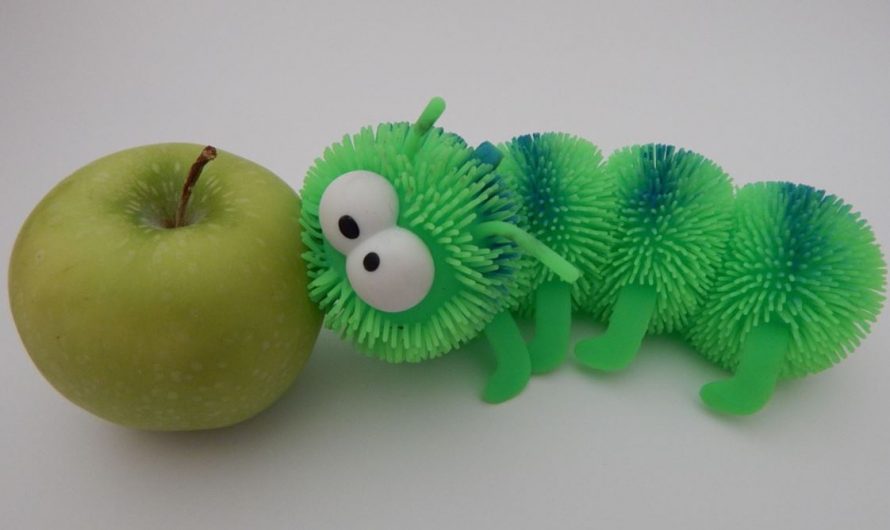 27 symbolic meanings of dreaming of centipedes
