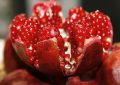 Dreaming of Pomegranates