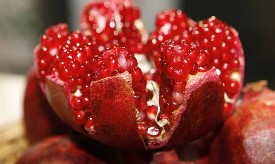 11 Symbolic Meanings of Dreaming of Pomegranates