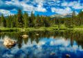 dreaming of a pond