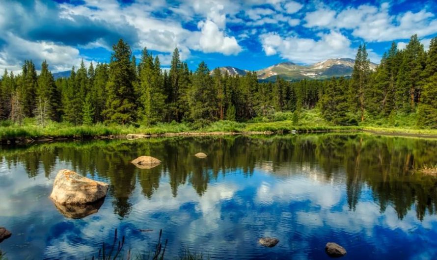26 symbolic meanings of dreaming of a pond