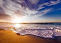 Dreaming of the Sea