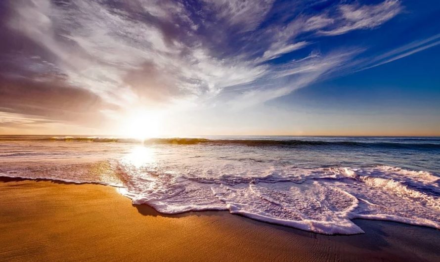 26 Symbolic Meanings of Dreaming of the Sea