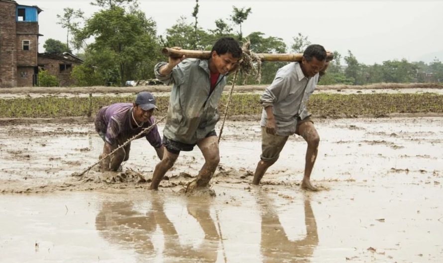 11 symbolic meanings of dreaming of mud
