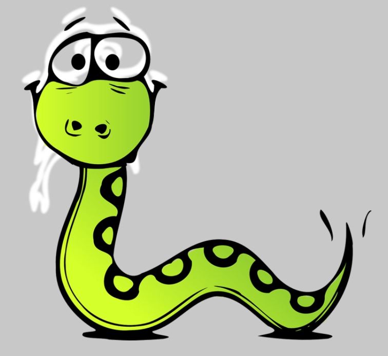 Dreaming of Snake Attack