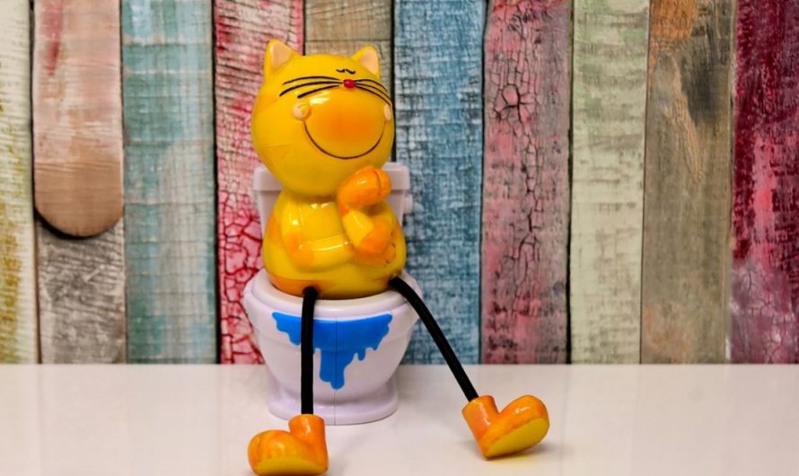 18 Spiritual Meanings of Dreaming of pooping