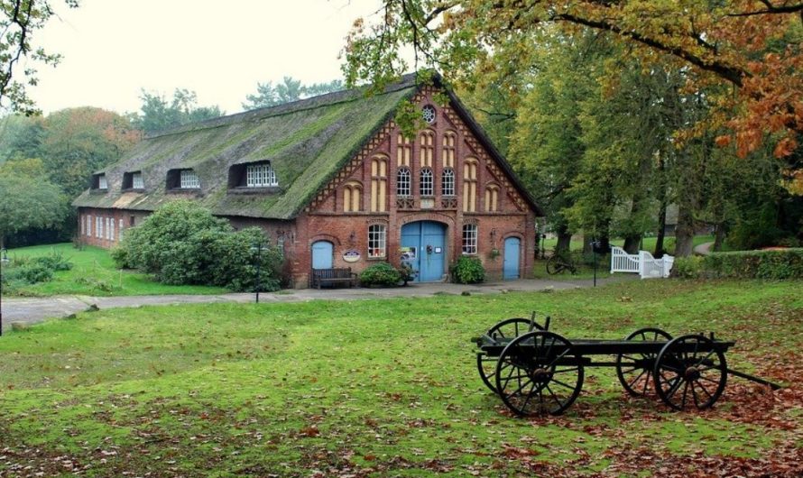 11 Spiritual Meanings of Dreaming of a Courtyard