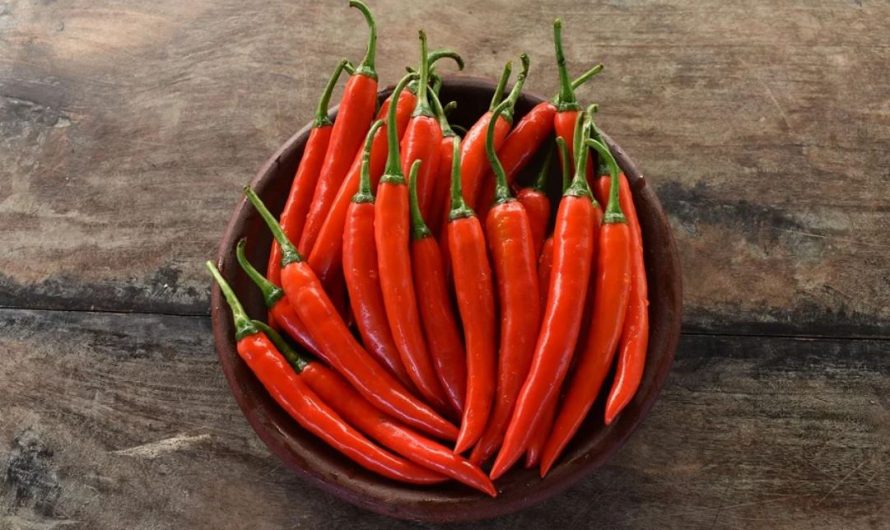 11 Spiritual Meanings of Dreaming of Chili