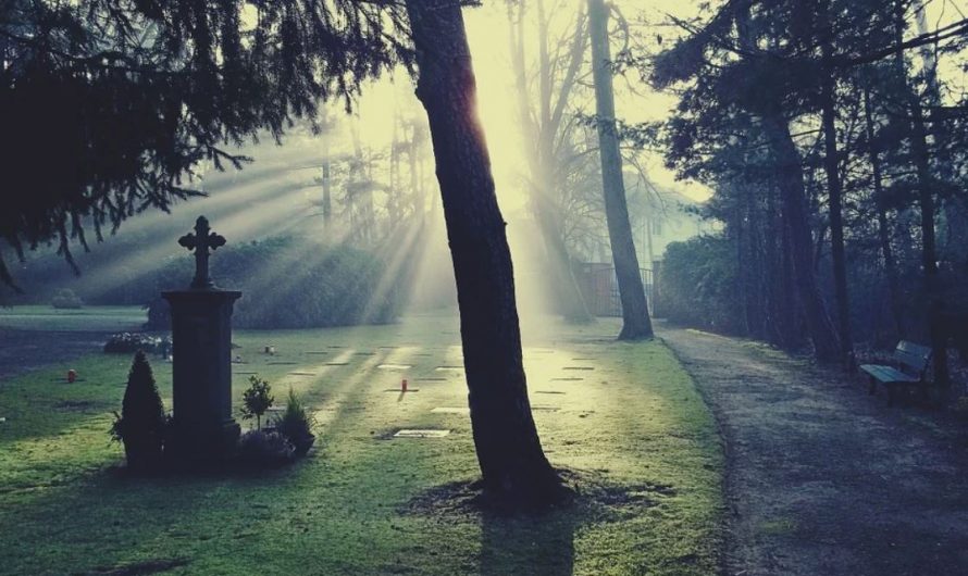 15 Spiritual Meanings of Dreaming of a Dead Person
