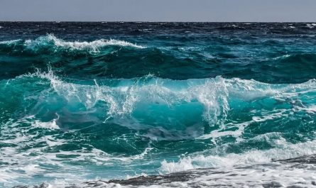 Dreaming of Waves