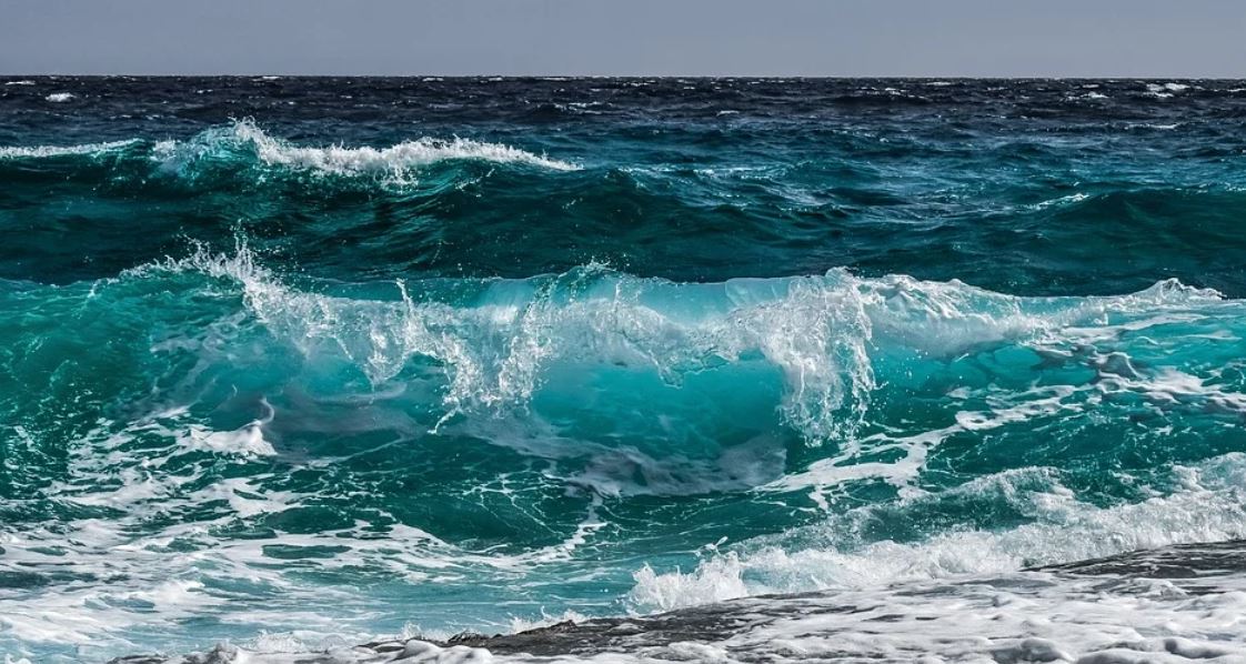 Dreaming of Waves