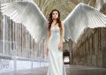 Dreaming of Angels