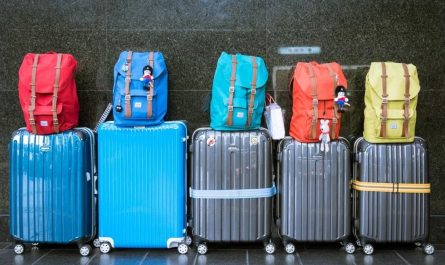 dreaming of a suitcase