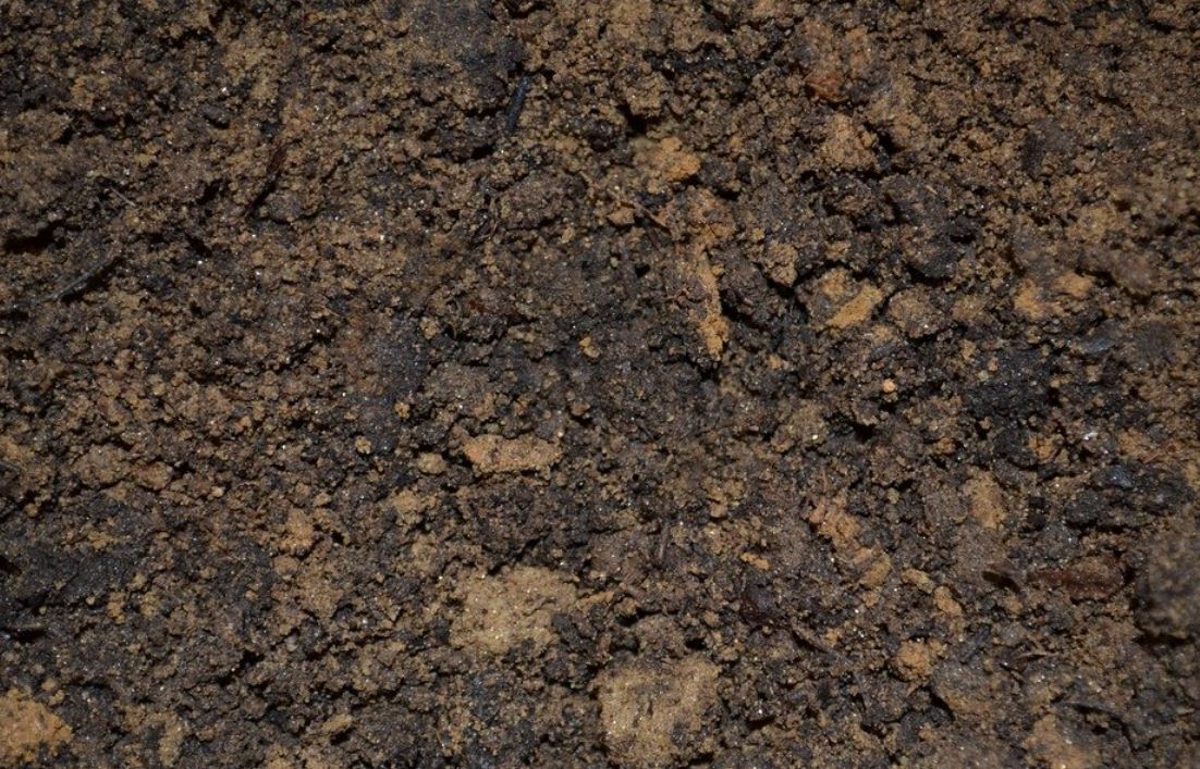 dreaming of soil