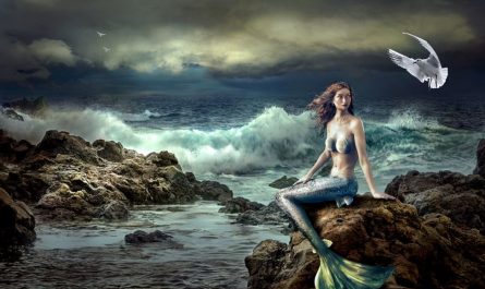dreaming of mermaids