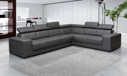 dreaming of a sofa