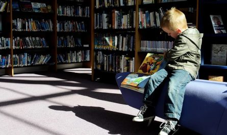 Dreaming of a Library