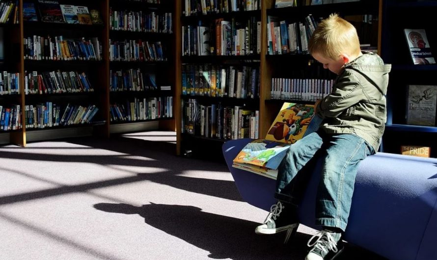 14 Symbolic Meanings of Dreaming of a Library