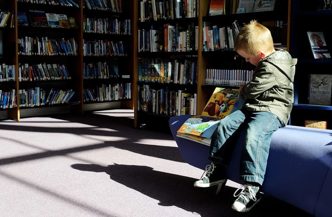 Dreaming of a Library