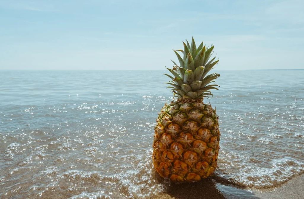 dreaming of pineapple