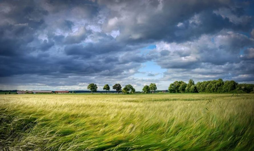 20 symbolic meanings of dreaming of strong winds