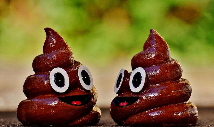 17 symbolic meanings of dreaming of baby feces
