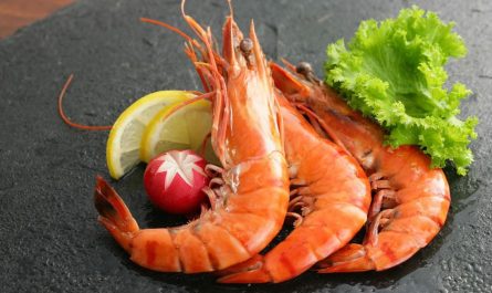 dreaming of shrimp