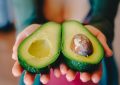 Dreaming of Avocados