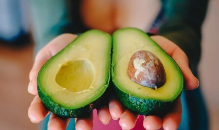 Dreaming of Avocados
