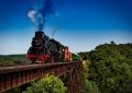 Dreaming of a Train