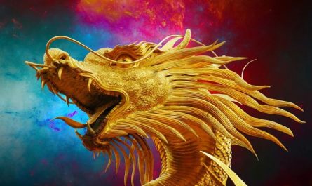 dreaming of dragons
