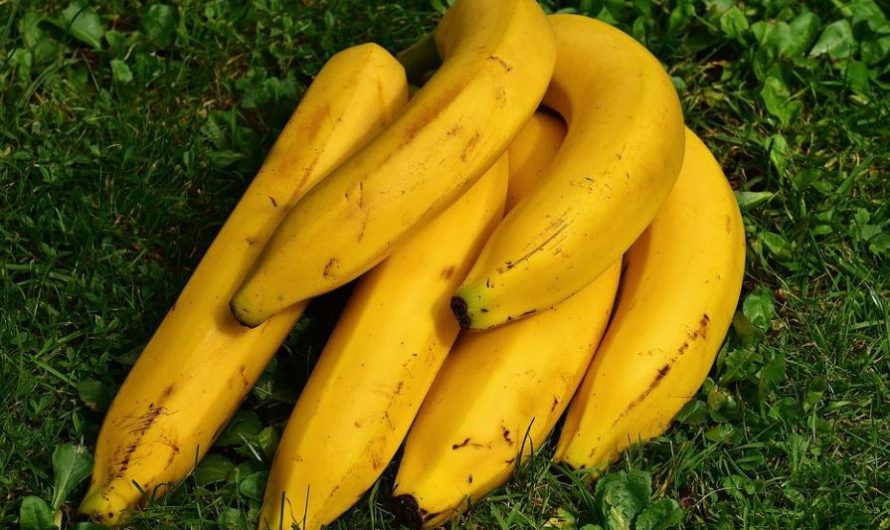 16 symbolic meanings of dreaming of bananas