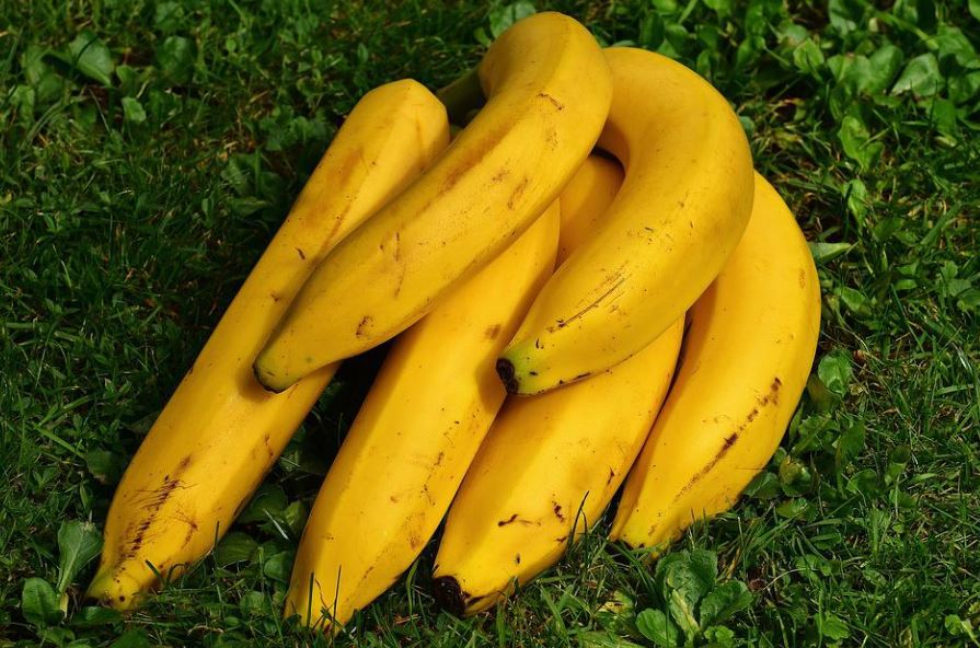 dreaming of bananas