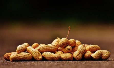 dreaming of peanuts