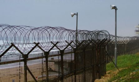 dreaming of barbed wire