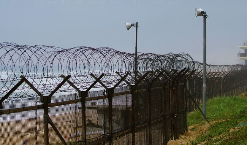 dreaming of barbed wire