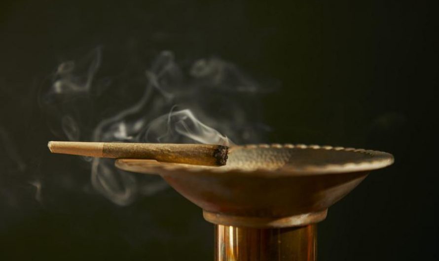 12 symbolic meanings of dreaming about marijuana
