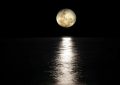 dreaming of the moon