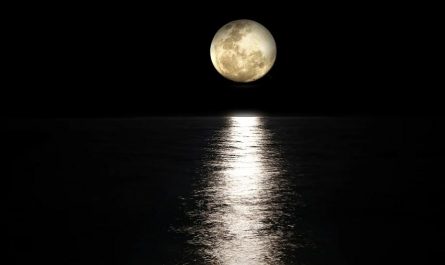 dreaming of the moon