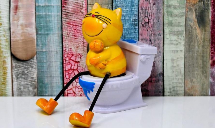 13 symbolic meanings of dreaming of diarrhea