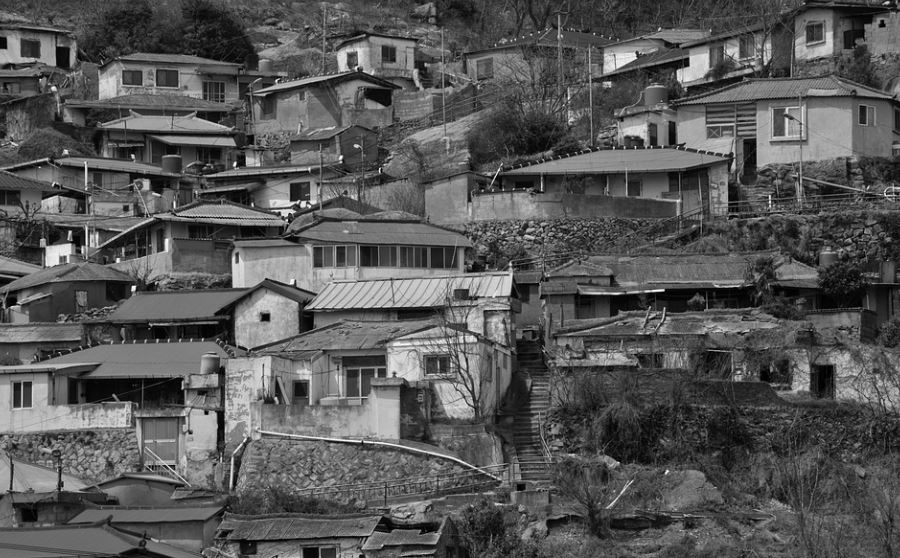 dreaming of slums