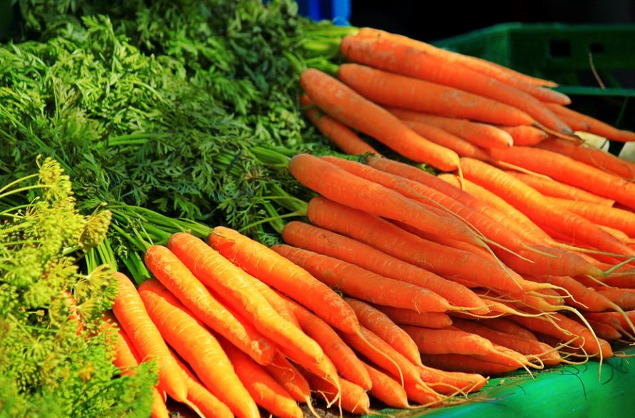 15 symbolic meanings of dreaming of carrots