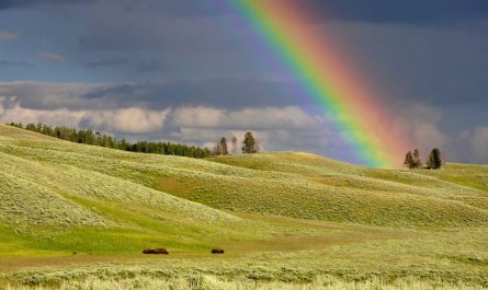13 symbolic meanings of dreaming of a rainbow