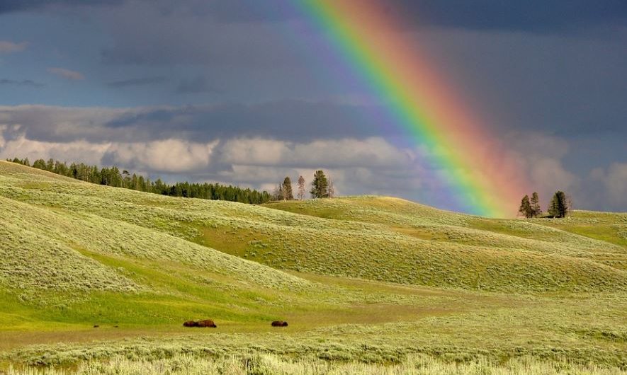 13 symbolic meanings of dreaming of a rainbow