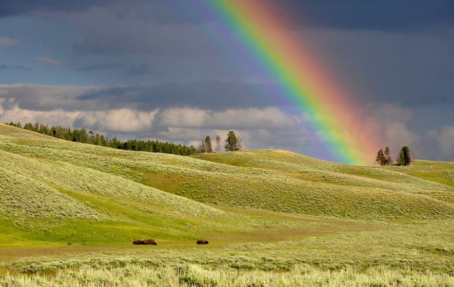 13 symbolic meanings of dreaming of a rainbow